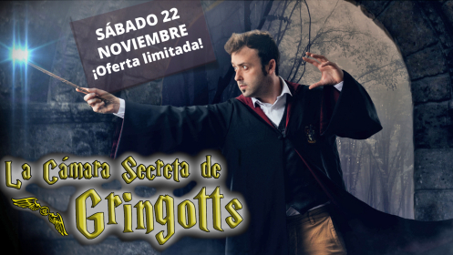 Entrada La Cámara Secreta de Gringotts. Mago Xuso. Vigo. Sábado 22 noviembre. ¡Oferta limitada!